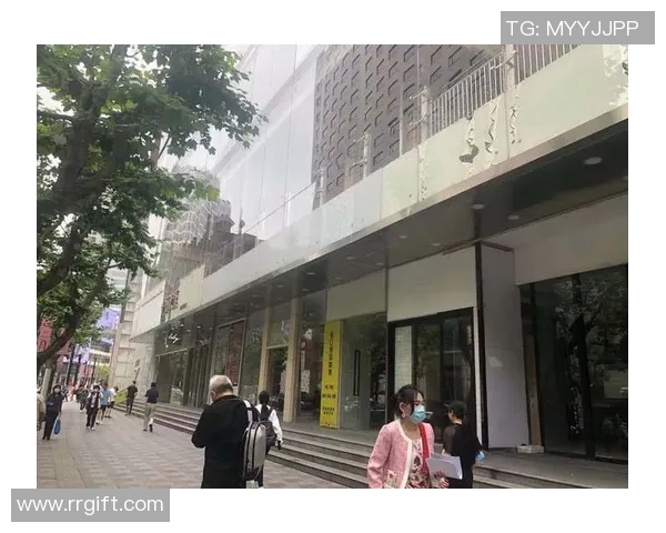 上海排球队逆袭之路联合会杯特别报道见证辉煌时刻与团队精神