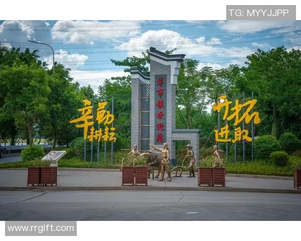 广州极限运动队运营策略深度分析与实践经验分享