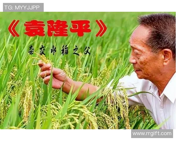 琼斯的传奇人生与事业探索:从平凡到卓越的奋斗历程与启示