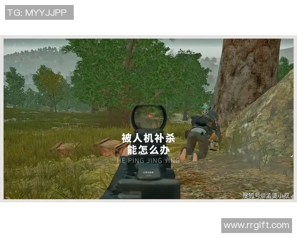 对话陈娜：探索和平精英职业生涯的成长与挑战MBA