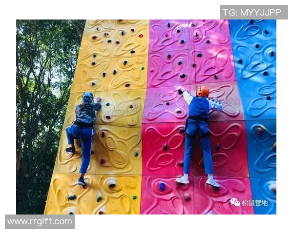 杭州攀岩队战术揭秘：挑战极限的勇者之路与团队精神MBA